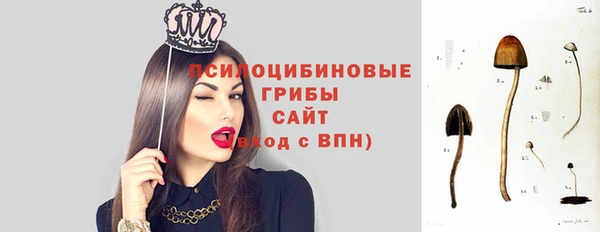 дживик Наволоки