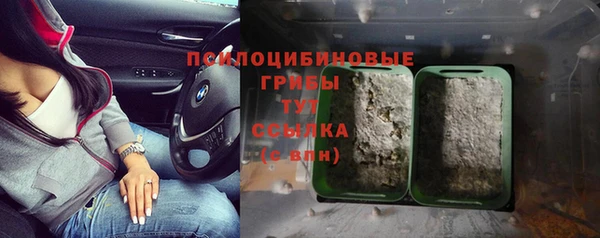 дживик Наволоки