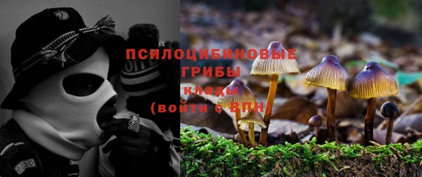 стафф Михайловка