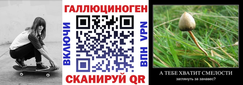 Псилоцибиновые грибы мухоморы  blacksprut вход  Пугачёв 