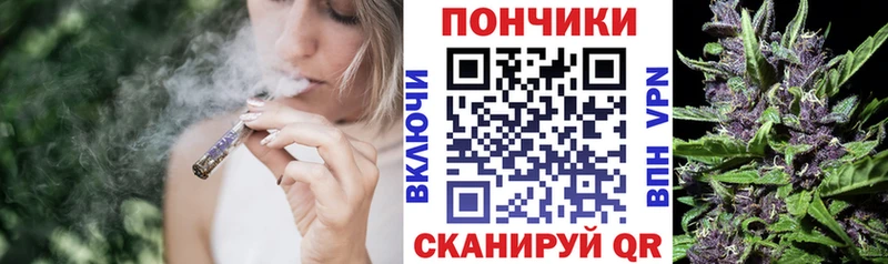Канабис сатива  Пугачёв 