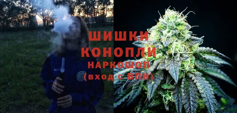 Каннабис Ganja  Пугачёв 